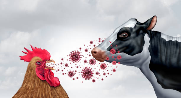 Avian flu