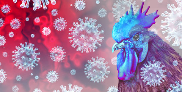 Avian flu
